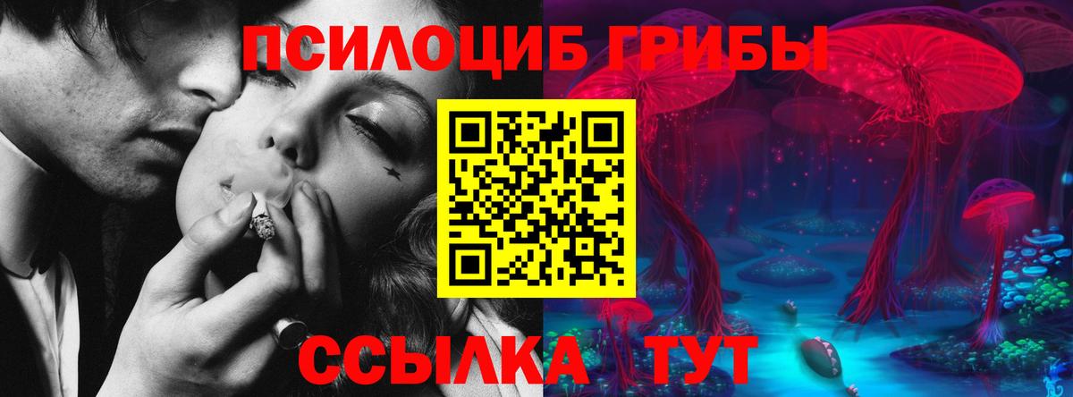 Галлюциногенные грибы MAGIC MUSHROOMS  Вход с VPN  закладка  Нурлат 